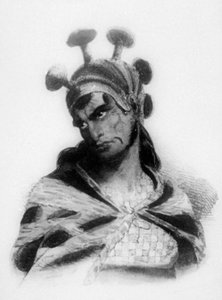Hawaiiansk krigare med hjälm med svampprydd vapen, 1819