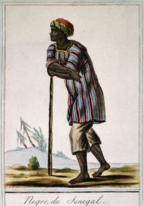 Senega Negro, färgstick från Encyclopedia des Voyages, av Jacques Grasset de Saint-Sauveur (1757-1810) av Jacques Grasset de Saint-Sauveur
