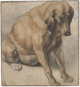 Sittande hund Sitter gravid hund