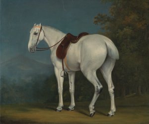 En dams grå jägare av Jacques Laurent Agasse