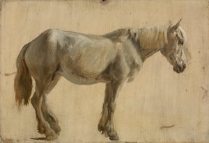 Studie av en grå häst (olja på papper) av Jacques Laurent Agasse