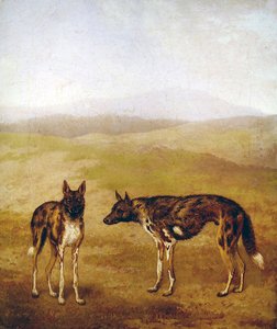 Två afrikanska jakthundar (olja på duk) av Jacques Laurent Agasse