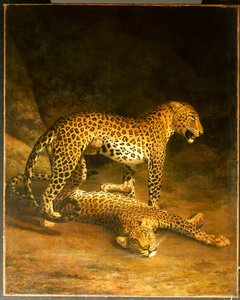 Två leoparder som ligger i Exeter Exchange, 1808 av Jacques Laurent Agasse