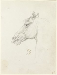 Hästens huvud av Jacques Louis David