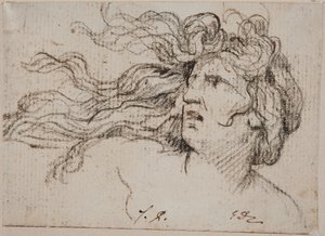 Kvinnohuvud med flygande hår av Jacques Louis David