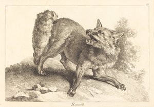 Renard (räv)