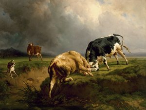 Ett tjurfäktning, 1855