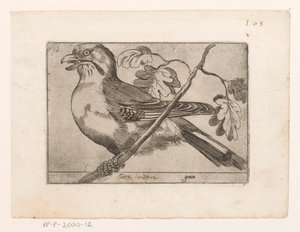 Gaai Gaio (titel på objekt) Vogels (serietitel) av Jacques de Fornazeris (possibly)