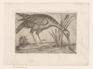 Vogel Tartena (titel på objekt) Vogels (serietitel) av Jacques de Fornazeris (possibly)