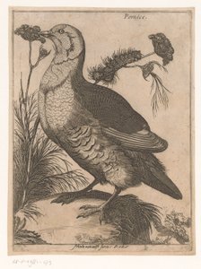 Rapphöna Pernice (titel på objekt) Nine Birds (serietitel)