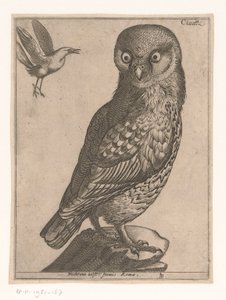 Liten uggla Civetta (titel på objekt) Nine Birds (serietitel)