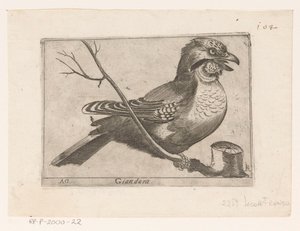 Jay (Garrulus glandarius) Giandara (titel på objekt) Fåglar (serietitel)