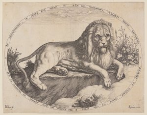 Den Grooten Leeuw (Det stora lejonet). av Jacques de Gheyn II