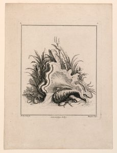 Escutcheon, från "Recueil Nouveau de Differens Cartouche"