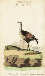 Älska Gud Heron, Aga Mia Älska Gud av Jacques de Seve