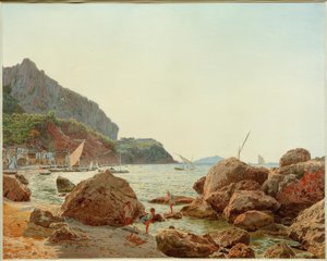 Den stora flottan på ön Capri av Jakob Alt