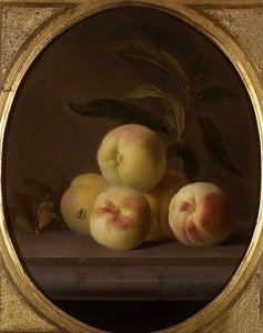 Stilleben av frukt med en fluga (olja på duk)