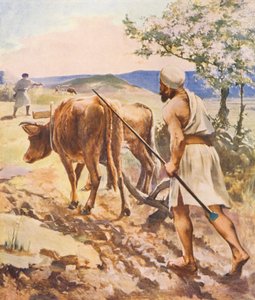 Det heliga landet: Plöjning nära Nazareth (färglitografi) av James (after) Clark