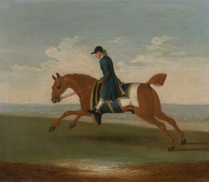Chestnut Racehorse Utövad av en tränare i en blå kappa (olja på duk) av James (attr.) Seymour