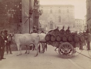 Vagn med oxar, Perugia, 1880-tal.