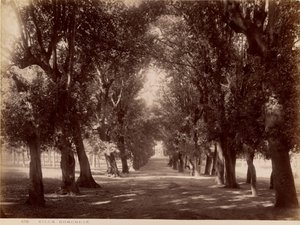 Villa Borghese av James Anderson