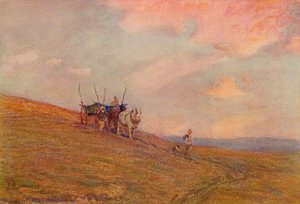 On the Downs nära Harting, c1870-1906, 1906.