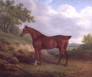 A Chestnut Thoroughbred (olja på duk)