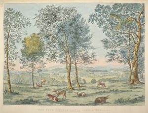 Kartor K, Top 46. 35 c Utsikt från Dynevor Castle, Carmarthen (handfärgad etsning)