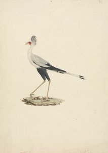 Skytten Serpentarius (sekreterare Bird) av James Bruce