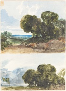 Två skisser av träd. av James Bulwer
