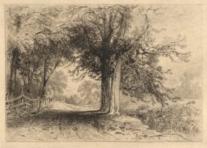 A Farm Lane, januari 1887, opus 2 av James David Smillie