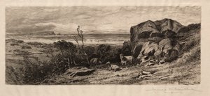 Vid Marblehead Neck av James David Smillie