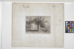 Landskap (etsning, chine collé)