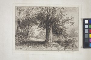 Landskap (etsning, chine collé)