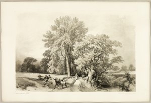 Abele och ek, från Parken och skogen av James Duffield Harding