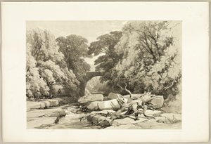 Ask and Alder on the Greta, från Parken och skogen av James Duffield Harding