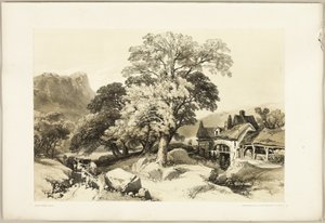 Ask och ek, från Parken och skogen av James Duffield Harding