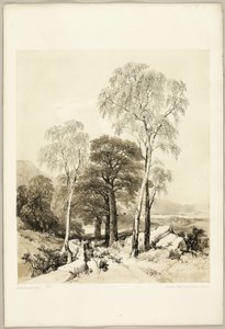 Björk och ek, från Parken och skogen av James Duffield Harding