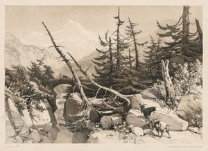 Pinjeträd och bro, 1841.