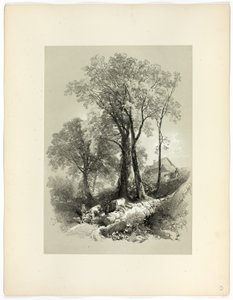 Shipley Bridge, Devon, från Picturesque Selections av James Duffield Harding