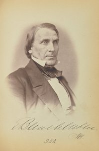 Elihu B. Washburne av James Earle McClees