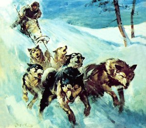 Den kanadensiska huskyn av James Edwin McConnell