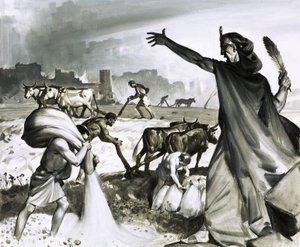 Karthagos uppgång och fall: Den romerska förbannelsen över Karthago av James Edwin McConnell