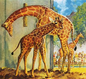 Giraffen Virginia av James Edwin McConnell