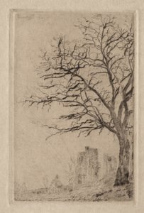 Akacia av James Ensor