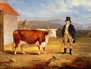 James Hodges och hans tvååriga Herefordkviga, ca 1843 av James Flewitt Mullock
