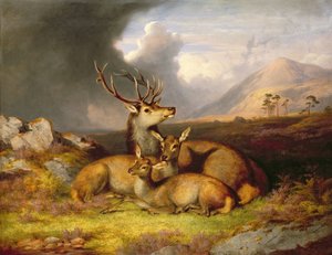 Highland Felicity, Ben Lebrig i bakgrunden