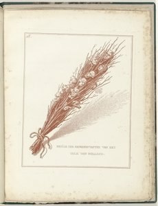 Gissel för de provisoriska representanterna för folket i Holland, 1795 Några av representanterna för folket i Holland (titel på objekt) Hollandia Regenerata (serietitel)