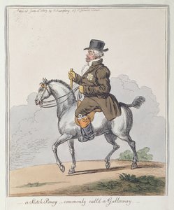 En skotsk ponny, vanligen kallad Galloway, utgiven av Hannah Humphrey 1803 (handkolorerad etsning).