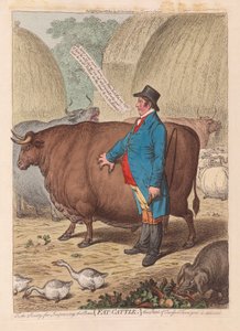 Fat Cattle, pub. 1802 (handfärgad gravyr)